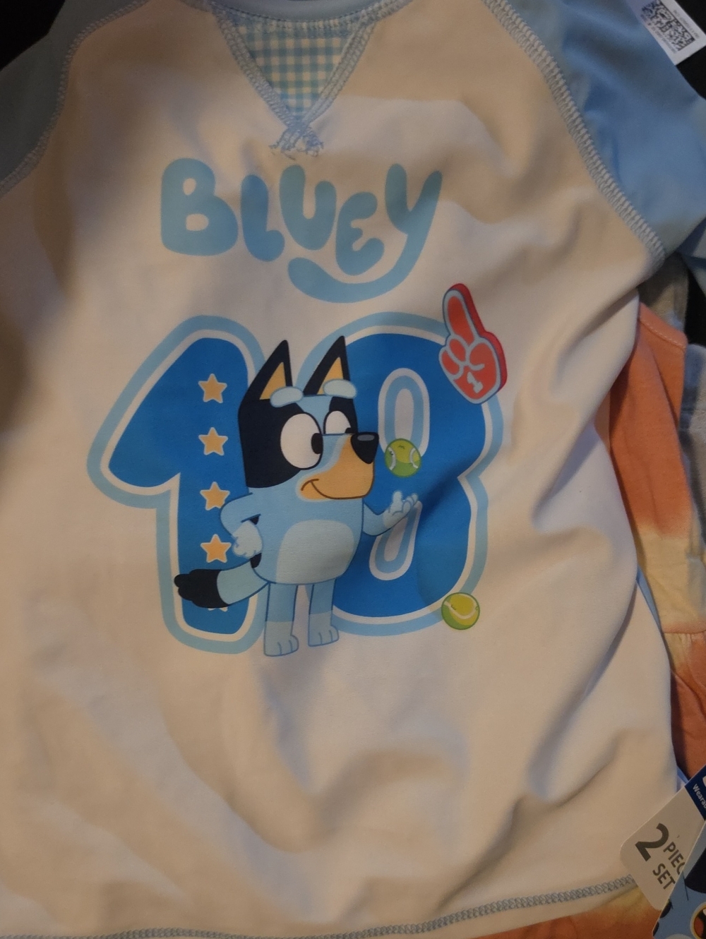 Bluey Boys' Light Blue Graphic Sweatshirt